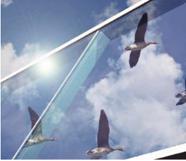 サンレールの開発 企画力3